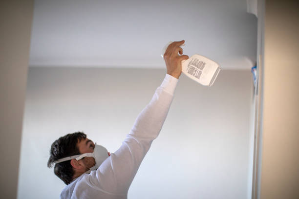 Reliable Atoka, OK Mold Remediation Solutions
