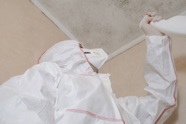 Best Residential Mold Remediation in Ata, OK