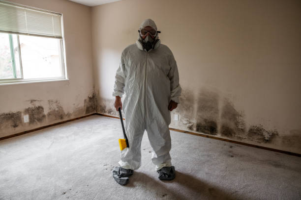 Best Mold Testing and Inspection Services in Ata, OK